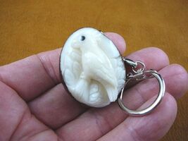 (TNE-BIR-CO-247A) Cockatoo tropical bird TAGUA NUT keychain I love birds - $18.16