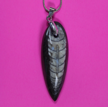 Authentic Orthoceros Necklace Fossil 500 Million Years Old Dinosaur Girl... - $41.13 CAD