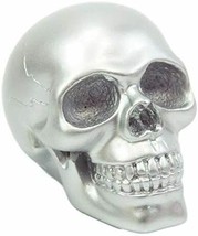 Small Metallic Silver Color Human Skull Figurine Ossuary Skeleton Halloween - £14.17 GBP