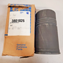 Genuine Cummins Parts Cylinder Liner 3801826 | PLP0640416 - $94.99