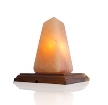 Monument Himalayan Salt Lamp - $42.00