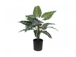 Europalms Caladium, Artificial Plant, 38cm - £12.54 GBP