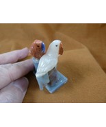(Y-BIR-PA-482) pair of Parrots white + red love bird gemstone STONE Peru... - $18.16 CAD