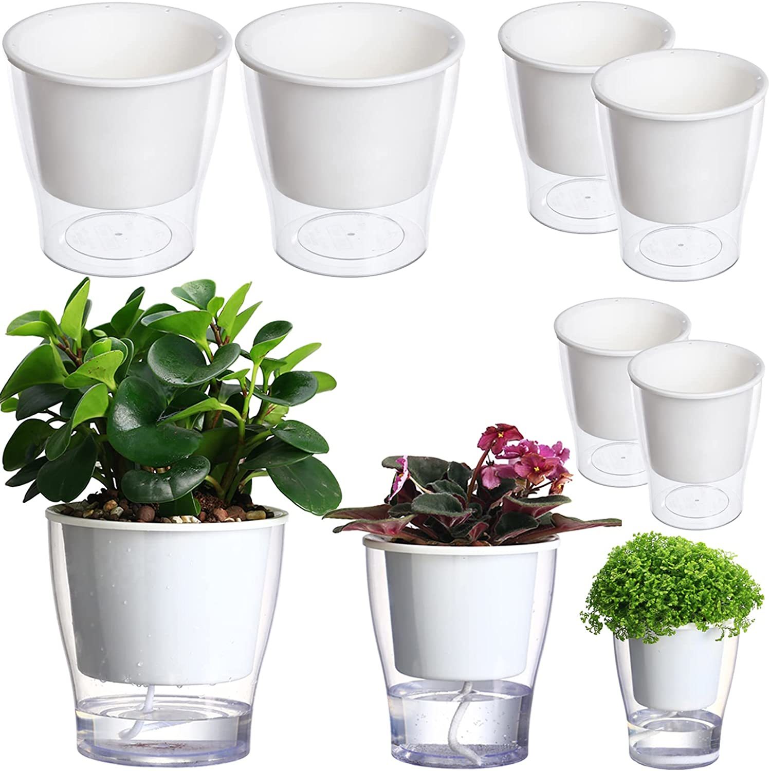 6 Pakcs Self-Watering Planters For Indoor Plants In Large, Medium,, 3 Inches). - $35.92