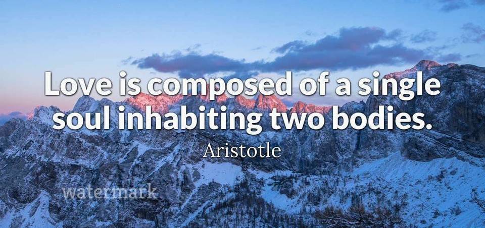 &quot;LOVE IS COMPOSED OF A SINGLE SOUL INHABITING TWO ...&quot; QUOTE PUBLICITY P... - $9.89