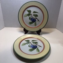 Villeroy Boch French Country 2 Dinner Plates 10.25&quot; Earthware Plums - £15.56 GBP