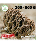 Moroccan Chaste Tree Flower Of Maryam Seed Herbs Palm Of Mary عشبة كف مريم  - £12.41 GBP+