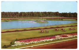 Hialeah Race Course Miami Florida Postcard - £5.26 GBP
