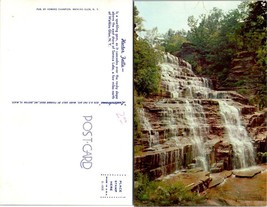 New York(NY) Watkins Glen Hector Falls Water Rushing Down Hillside VTG Postcard - £7.37 GBP