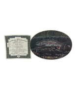 Bradex Rainbow Trout Oval Plate- Fresh Water Game Fish of North America-... - £7.83 GBP