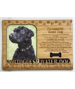 PORTUGUESE WATER DOG Dog Profile Laser Engraved Wood Picture Frame Magnet - $185.34 MXN