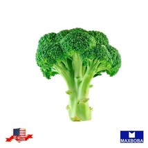 550 Broccoli Seeds - Waltham 29- Gardening Fresh USA SELLER - $15.00