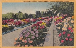 Dahlia Garden Lambert Gardens Portland Oregon OR 1955 Postcard C55 - $2.99