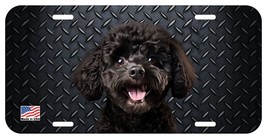 Poodle Black Face Can Personalize Novelty Metal License Plate C - £7.03 GBP+