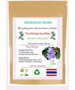 Thunbergia laurifolia capsule Thai Natural Herbs  &quot;Detoxify&quot; 50X500 mg - $9.90