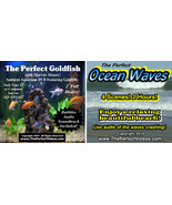 (2) DVD Combo Set Relaxing Virtual Goldfish Aquarium &amp; Ocean Waves Beach... - £11.13 GBP