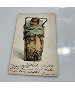 Papoose in Cradle Indigenous North America © 1903 Detroit Photographic P... - €12,24 EUR