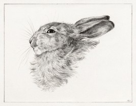 13104.Wall Decor Poster.Room home design.Jean Bernard drawing art.Rabbit.Bunny - £12.94 GBP+