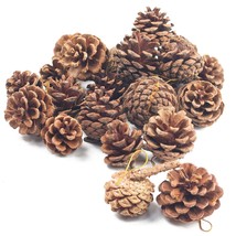 Natural Pine Cones, Christmas Rustic Pinecones Fall Garland Halloween Th... - £11.85 GBP