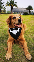 Dog Tuxedo Bandana, Wedding Costume Bow Tie Accessory, Pet Collar - £13.62 GBP