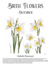 81x9oyil2wl thumb200