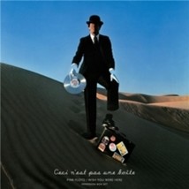 Pink Floyd Wish You Were Here (Immersion Edition) - Cd - £119.93 GBP