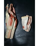 Lot of 2 Rare Antique Plaster/Papier Mâché Throat Anatomical Model 1920s - $1,609.68 MXN
