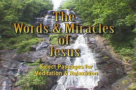 &quot;Words &amp; Miracles of Jesus&quot; The good word to meditate on. DVD - $5.79
