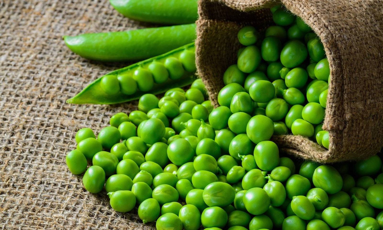 Peas seeds, code 828 Item image 3