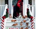 12 Pups Of Christmas DVD | Charlotte Sullivan | Region 4 - £6.81 GBP
