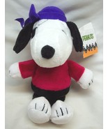 Peanuts Gang SOFT HALLOWEEN SNOOPY AS PIRATE 8&quot; Plush STUFFED ANIMAL Toy... - $282.14 MXN