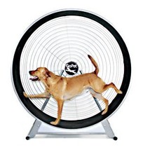 GoPet TreadWheel For Large Dogs - £6,340.31 GBP