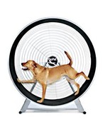 GoPet TreadWheel For Large Dogs - £6,430.11 GBP