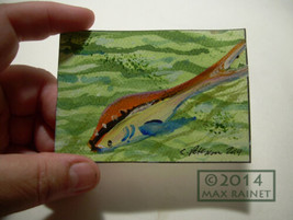 Original ACEO Miniature PAINTING Artist Signed Cathy Peterson = Koi Fish 2014 - £98.32 GBP