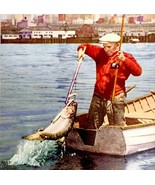 Seattle Harbor Salmon Fishing Postcard c1960-70s Armed Forces Washington... - €17,30 EUR