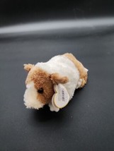 TY Beanie Baby - TWITCH the Guinea Pig 6 inch TAGS - $14.52