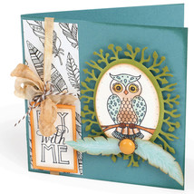 Sizzix Fox Tales Collection Clear Acrylic Stamps Owl And Feathers - £20.19 GBP