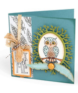 Sizzix Fox Tales Collection Clear Acrylic Stamps Owl And Feathers - $36.39 CAD