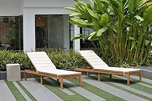 Toledo Lounger (Set Of 2) | Teak Finish With Cushion | Ideal For Patio A... - $680.99