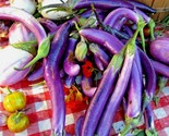 50 Seeds Long Purple Eggplant Seeds Organic Italian Heirloom Summer Gard... - $8.99