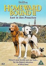 Homeward Bound 2 - Lost In San Francisco DVD (2001) Robert Hays, Ellis (DIR) Pre - £13.99 GBP