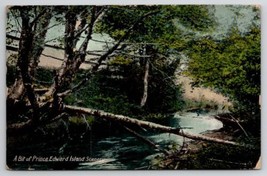 Prince Edward Island Scenery Canada Postcard W27 - £7.80 GBP