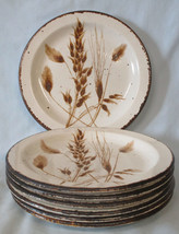 Midwinter by Wedgwood Wild Oats Bread or Dessert Plate Set of 7 - $28.70