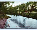 Buffalo Creek Brainerd Minnesota MN 1908 DB Postcard E15 - £37.27 GBP