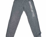 Abercrombie Fitch Soft AF Fleece Pants Gray Joggers Sweatpants Mens Size... - $27.71