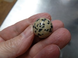 (L-63) TWO FOR ONE 3/4&quot; MARBLE Spotted Dalmatian jasper gem stone sphere... - $7.69