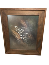 Beautiful Framed Artwork Wildlife Baby Raccoons by Allison Still Dark Wood EUC - £68.32 GBP