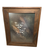Beautiful Framed Artwork Wildlife Baby Raccoons by Allison Still Dark Wo... - £67.26 GBP
