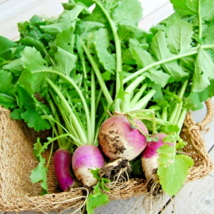 2000+ Seeds Turnip Purple Top White Globe NON-GMO Heirloom Vegetable Spring - £10.36 GBP