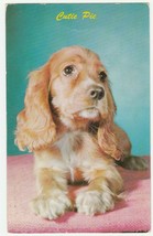 Vintage Postcard Cocker Spaniel Puppy Dog Cutie Pie 1960s Dexter Press - £5.44 GBP